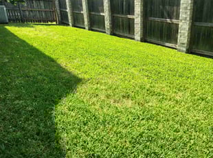 Bob P.'s lawn care services service result
