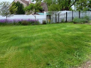 Tanaeya A.'s turf maintenance service result