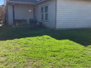 Patrice J.'s lawn care services service result