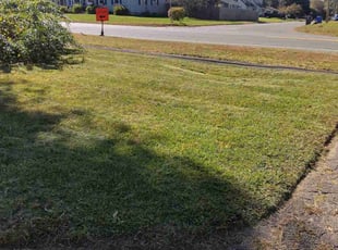 David H.'s lawn care service result
