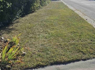 Kristin R.'s grass maintenance service result