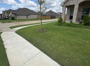 Cynthia W.'s lawn care services service result