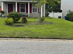 Sandra K.'s turf care service result