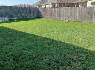 Jeffrey W.'s grass maintenance service result