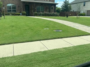 Willie T.'s lawn service service result