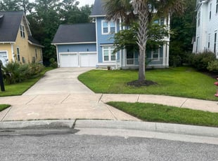 Michael M.'s grass cutting service result