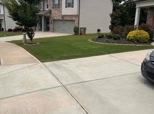 Billy B.'s grass maintenance service result