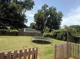 Afshan Q.'s lawn maintenance service result