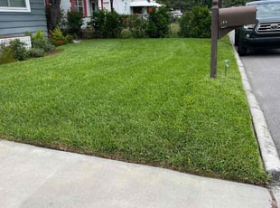 Clare R.'s lawn care service result
