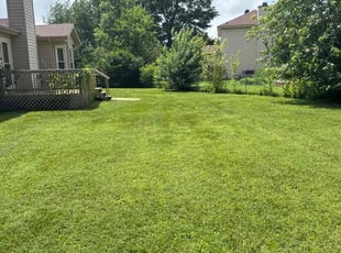 Jim K.'s turf maintenance service result