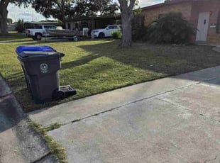 Mara V.'s grass maintenance service result