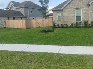 Destiny M.'s lawn care service result