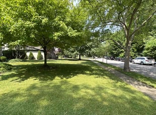 Lavetta J.'s lawn care service result