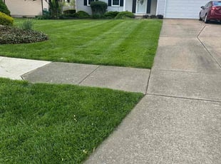 Chris D.'s lawn care services service result