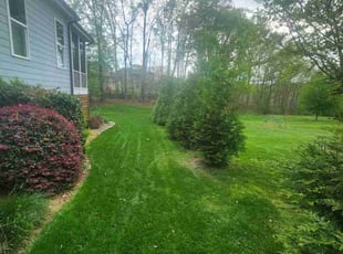 Joseph D.'s turf maintenance service result