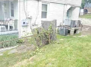 Jacqueline G.'s Bush Trimming service result