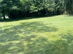 Sara N.'s turf care service result
