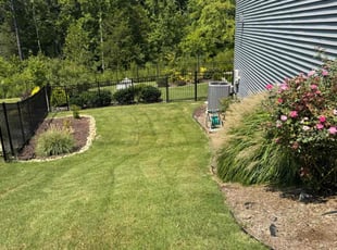 Tayyibah S.'s lawn care services service result