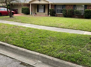 Gary B.'s lawn maintenance service result