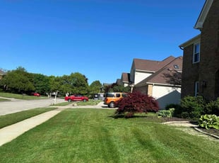 Tracy P.'s lawn care service result