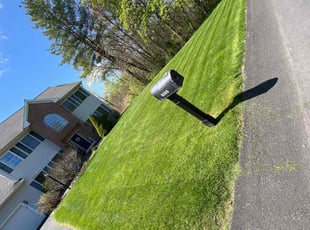 Wayne L.'s turf care service result