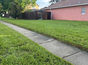 Timothy B.'s lawn maintenance service result