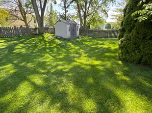 Robert T.'s grass cutting service result