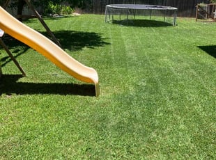 Earl M.'s yard service service result