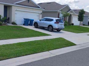 Leonard J.'s grass cutting service result