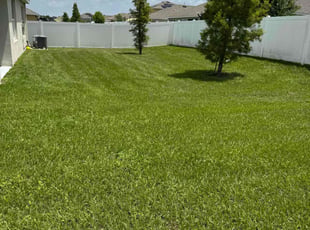 Earl B.'s turf care service result