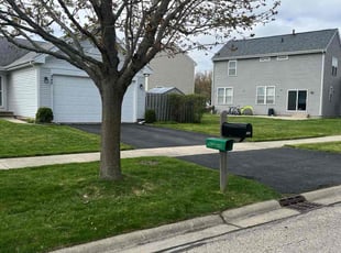 Carla M.'s grass cutting service result