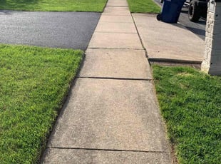 Timothy W.'s grass cutting service result