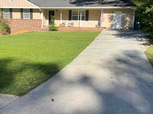 Lynnette B.'s turf maintenance service result