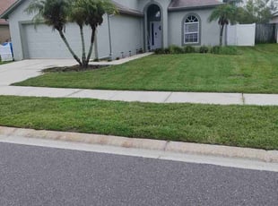 Pete L.'s lawn care service result