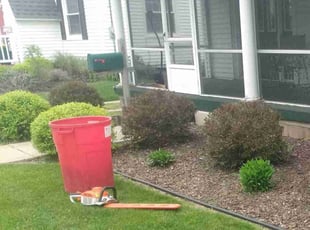 Conner T.'s Bush Trimming service result