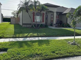 Kaysha I.'s lawn care services service result