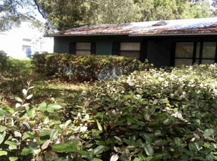 Delois C.'s Bush Trimming service result