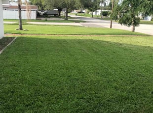 Daryl E.'s lawn service service result