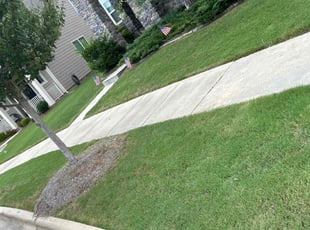 Olivia M.'s turf maintenance service result