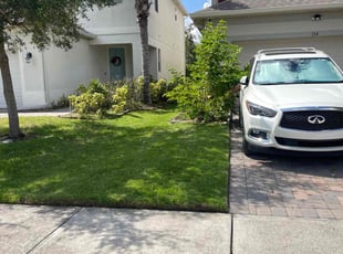 Bhanuchander S.'s lawn maintenance service result