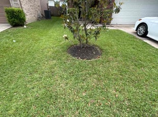Faith S.'s lawn service service result