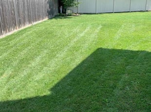 Terrence M.'s grass cutting service result