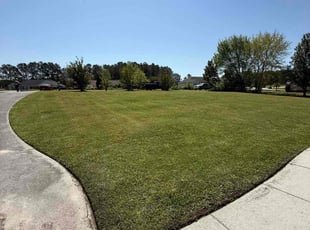 Curtis L.'s lawn service service result