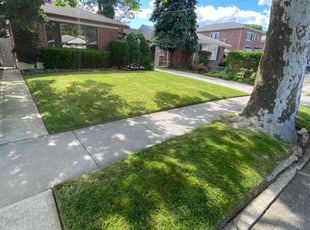 Matt H.'s lawn care services service result