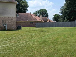Lisa H.'s grass cutting service result