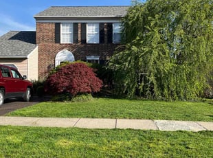 Richard P.'s grass cutting service result