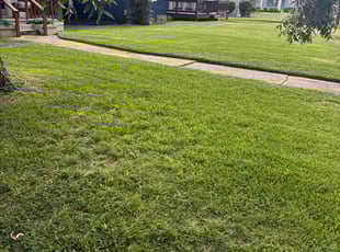 George B.'s grass maintenance service result
