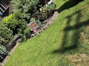Marlene T.'s grass maintenance service result