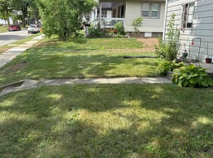Kelsey M.'s grass cutting service result