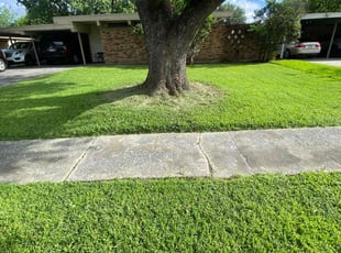 Jason H.'s lawn maintenance service result